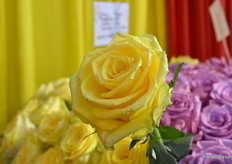 This is Good Times from Everest Enterprises Limited.